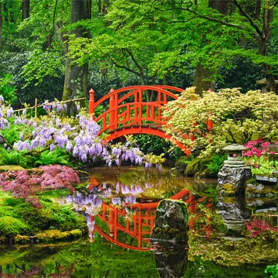 باغ های ژاپنی