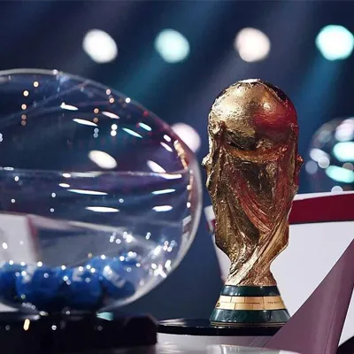 نماینده ایران در قرعه کشی جام جهانی 