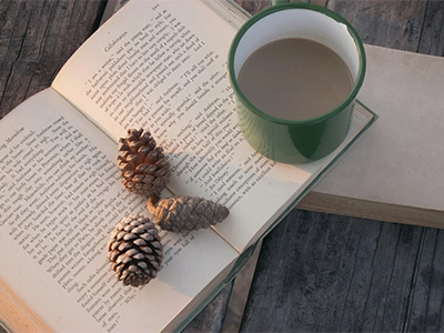 سفرنامه ‌های داخلی