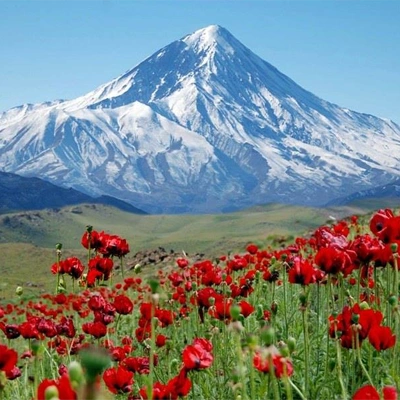 تور مازندران