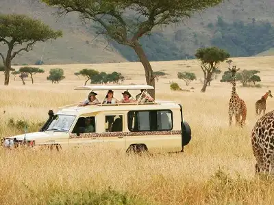 kenya-8-days-tour-september