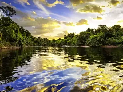 pic-تور 12 روزه برزیل | آمازون 1404