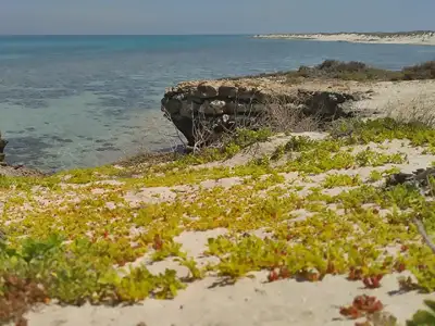 pic-تور پارسیان تا جزیره مارو | 4/5 روزه دی