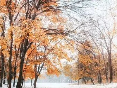 rash-forest-tour-1-day-jan-2