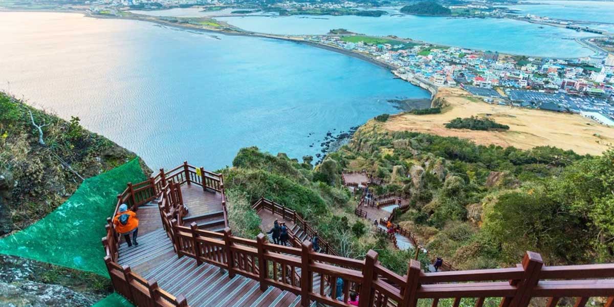 جزیره جئونگدو؛ بزرگترین نمکزار طبیعی