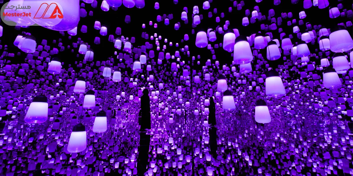 جنگل فانوس‌ها (Forest of Lamps)