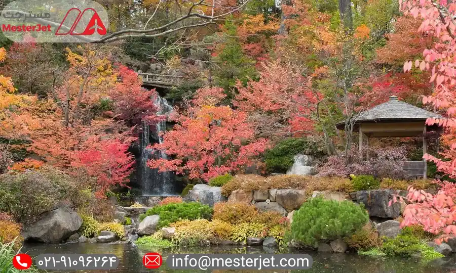 باغ ژاپنی اندرسون