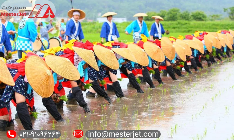 تاریخ مراسم کاشت برنج ژاپنی