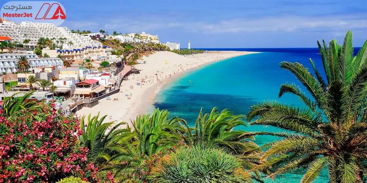 جزایر قناری