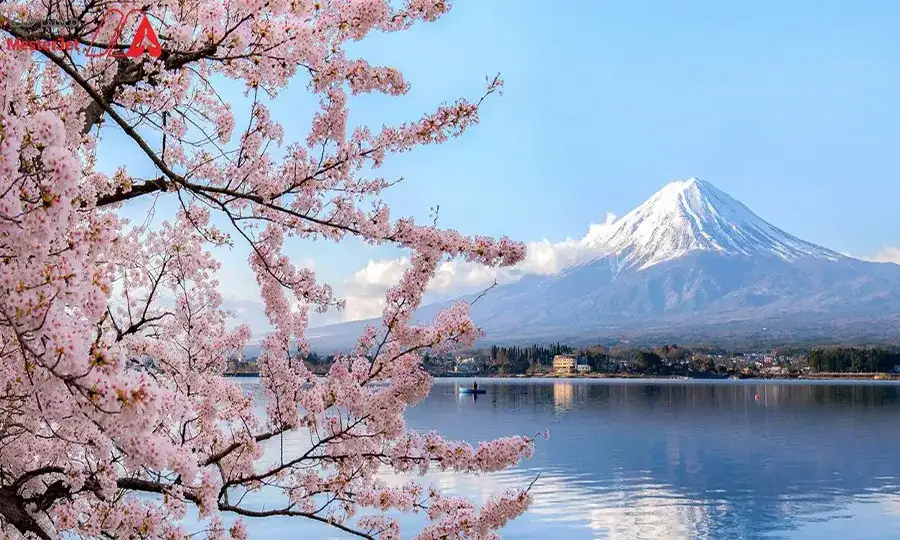 بهترین زمان سفر به ژاپن